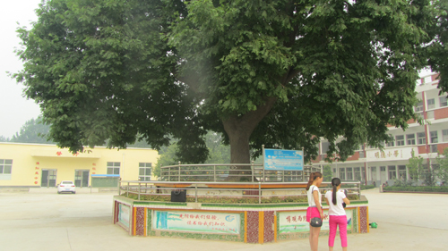 ��������ׯկ������